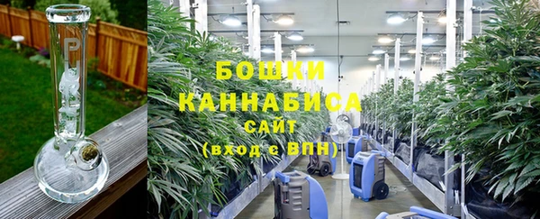 эйфоретик Сосновоборск