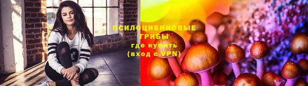 круглые Бронницы
