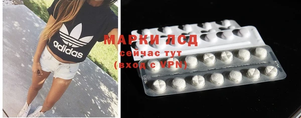 ГАЛЛЮЦИНОГЕННЫЕ ГРИБЫ Сосновый Бор