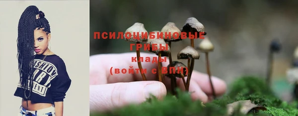 круглые Бронницы