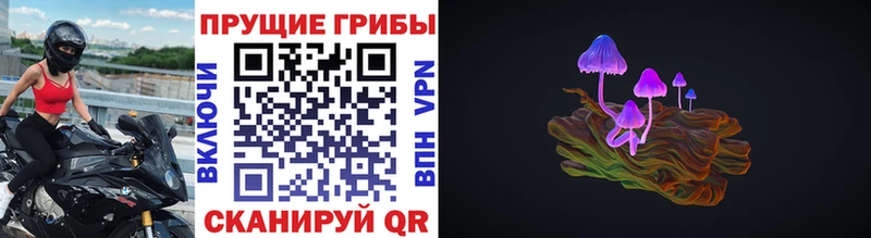 Псилоцибиновые грибы GOLDEN TEACHER  omg как войти  Тулун 